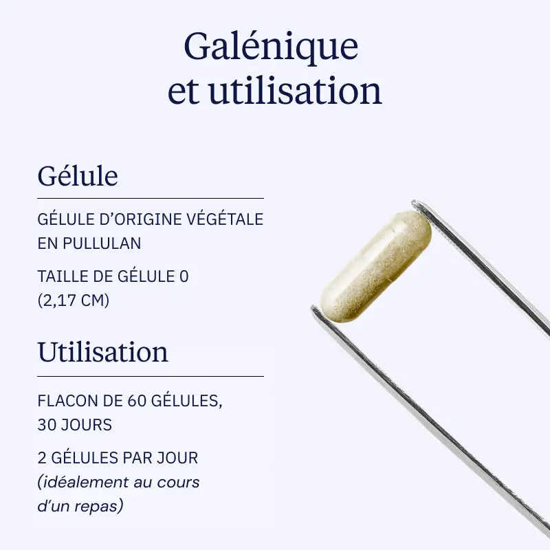 Extrait d'Artichaut - Image 4