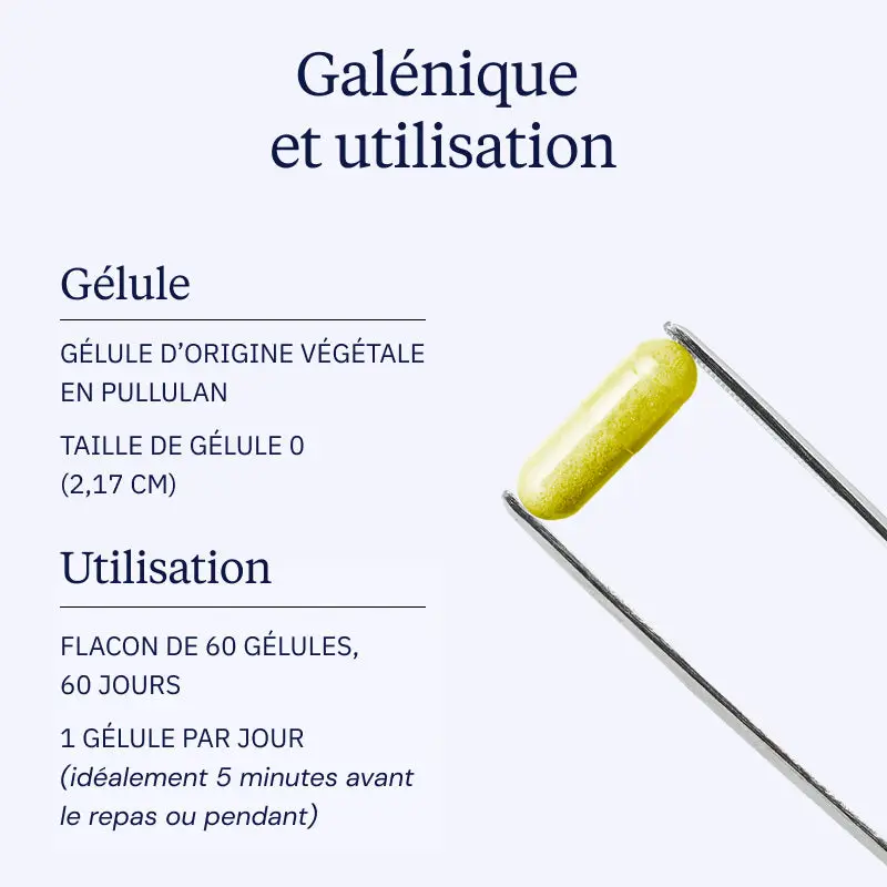 Berbérine pure - Image 4