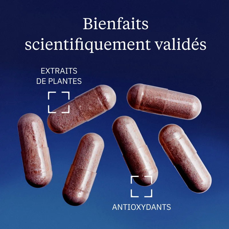 Canneberge BIO (Cranberry) - Image 3