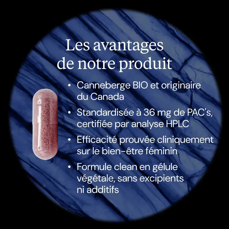 Canneberge BIO (Cranberry) - Image 4