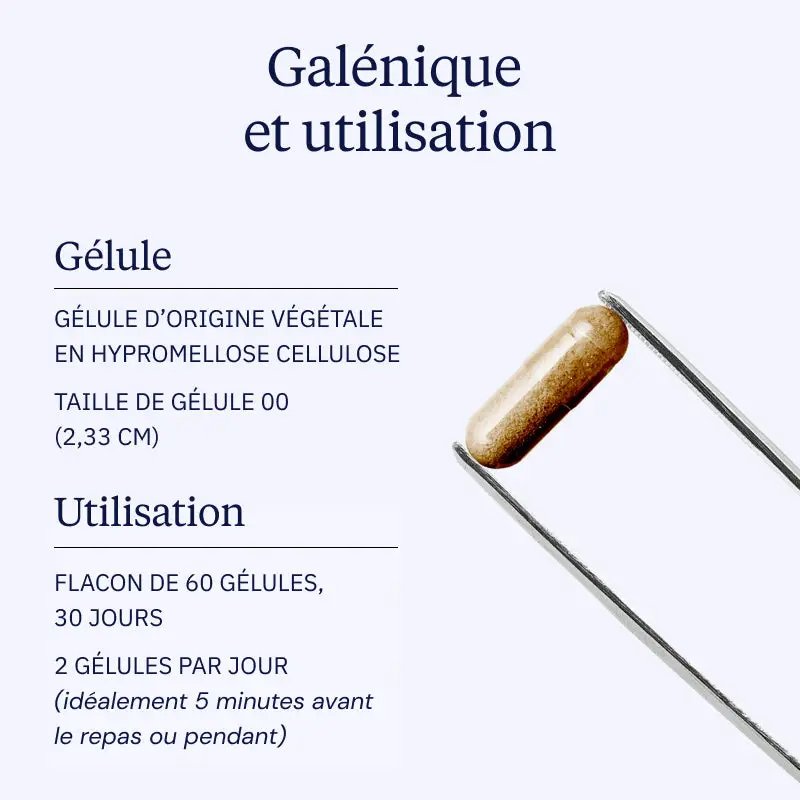 Cannelle de Ceylan BIO - Image 4