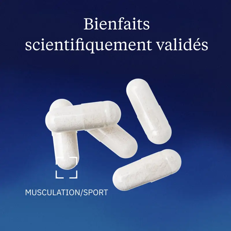 L-Carnitine (tartrate) Carnipure® - Image 2
