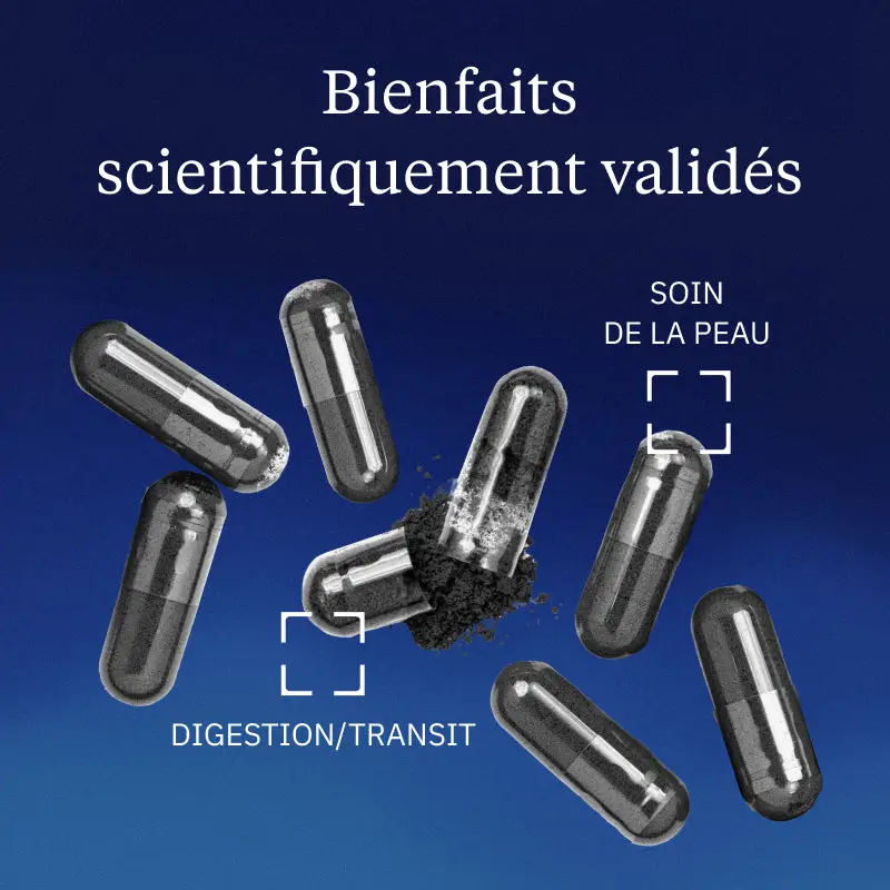 Charbon végétal activé BIO - Image 2