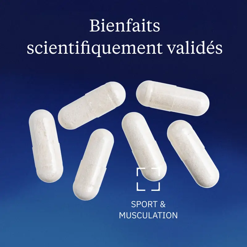Chondroïtine Sulfate - Image 2