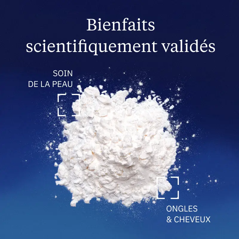 Collagène marin en poudre hydrolysé - Peptan® - Image 2