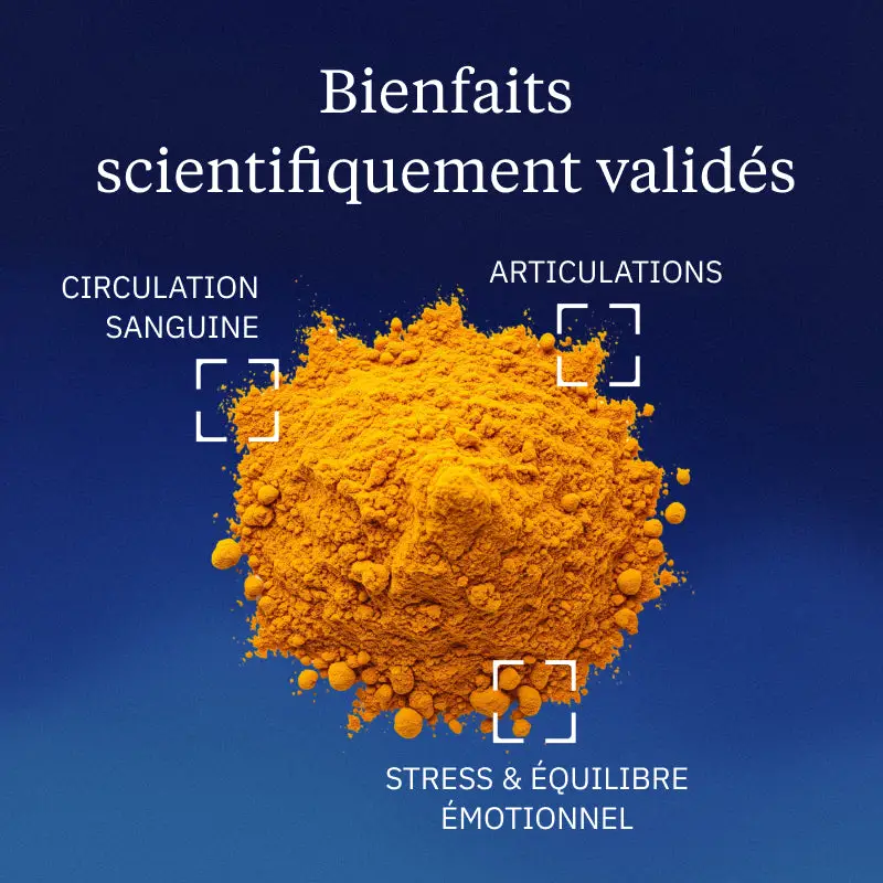 Curcuma BIO en poudre - Image 2
