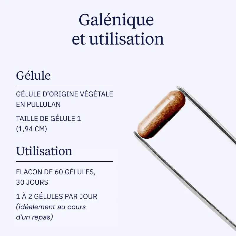Ginseng rouge premium - Image 4