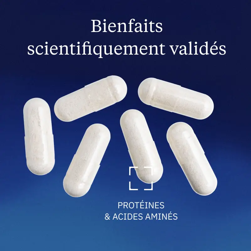 L-Glutamine naturelle - Image 2