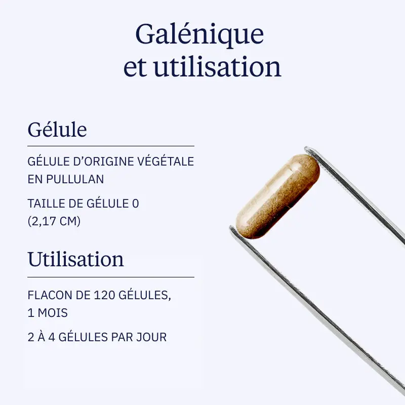Levure de bière Bio-active - Image 4