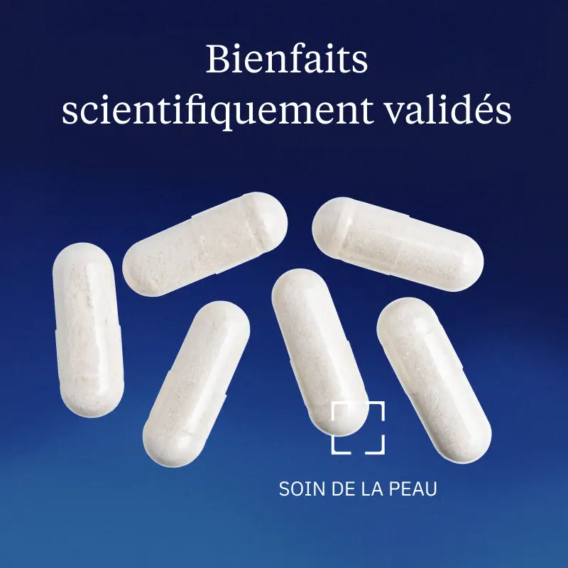 N-Acétylglucosamine pure - Image 2