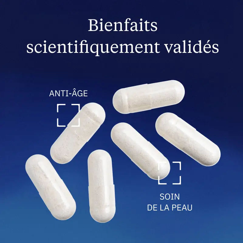 Collagène Tripeptides concentré en gélules - Image 2