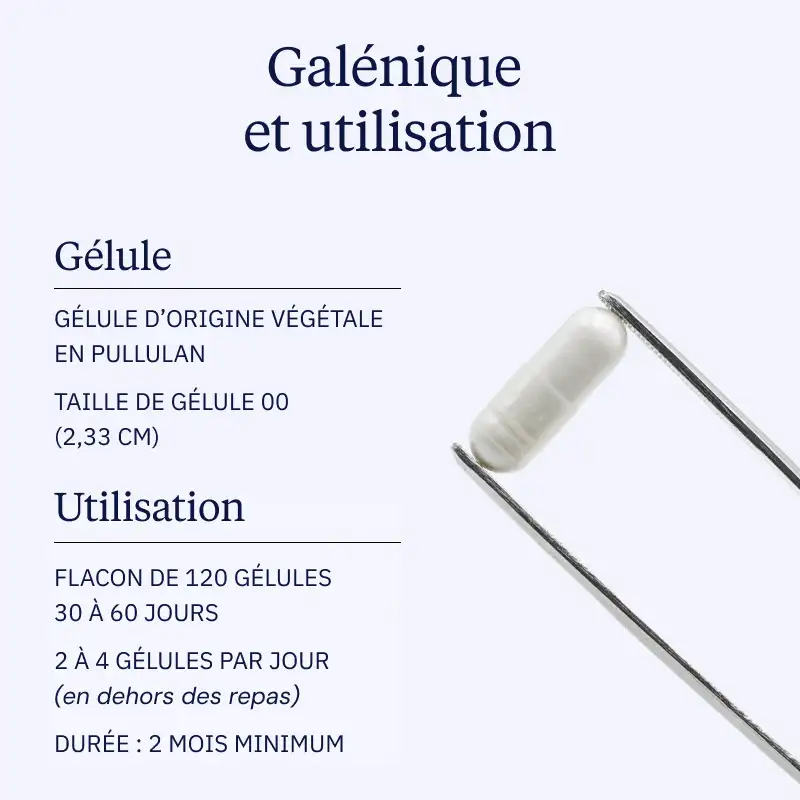 Collagène Tripeptides concentré en gélules - Image 4