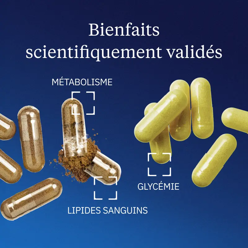 Programme Glycémie - Image 4