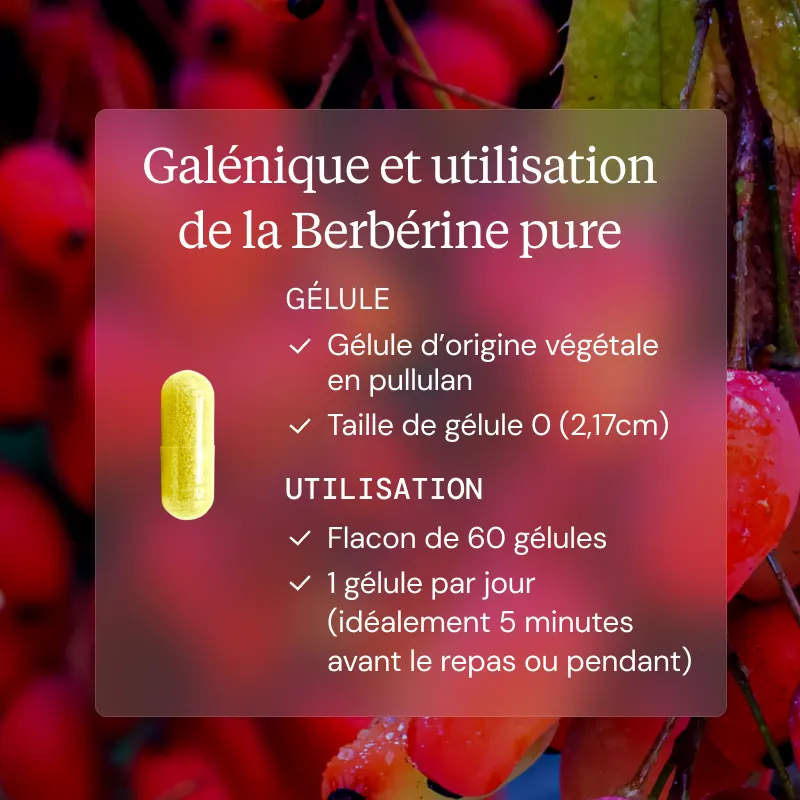 Programme Glycémie - Image 8
