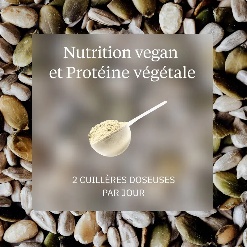 Programme Nutrition vegan - Image 5