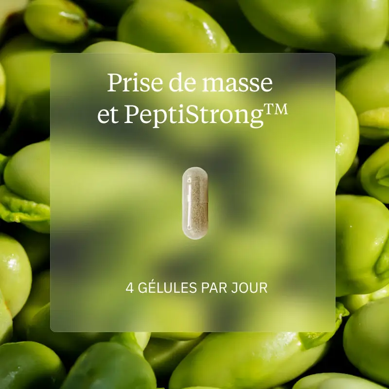 Programme Prise de masse - Image 5