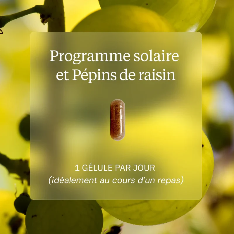 Programme Solaire + 1 Vitamine C offerte - Image 3