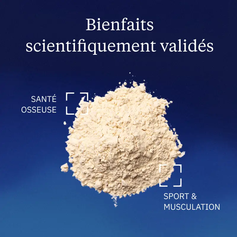 Protéines végétales bio - Image 2