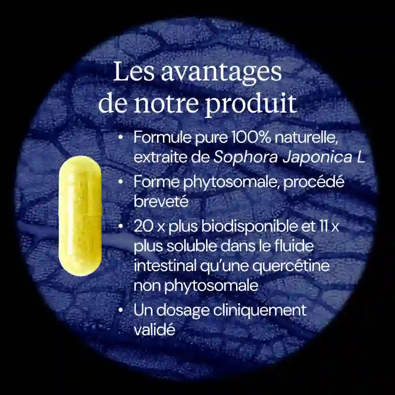 Quercétine anhydre pure - Image 3