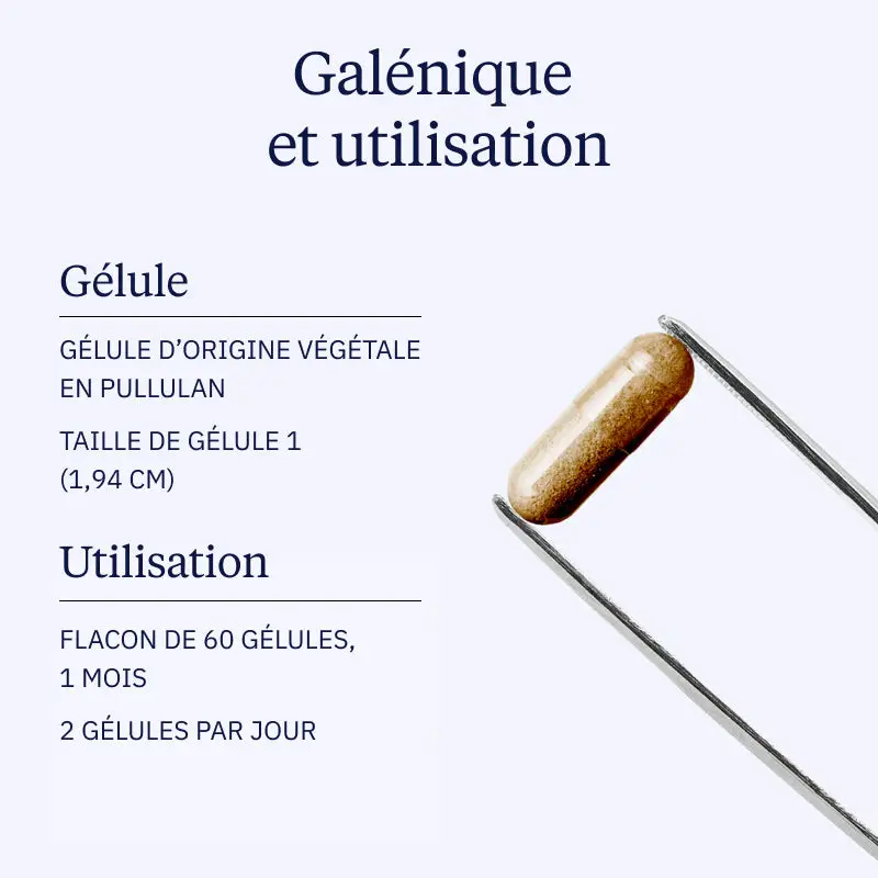 Safran BIO - Image 4