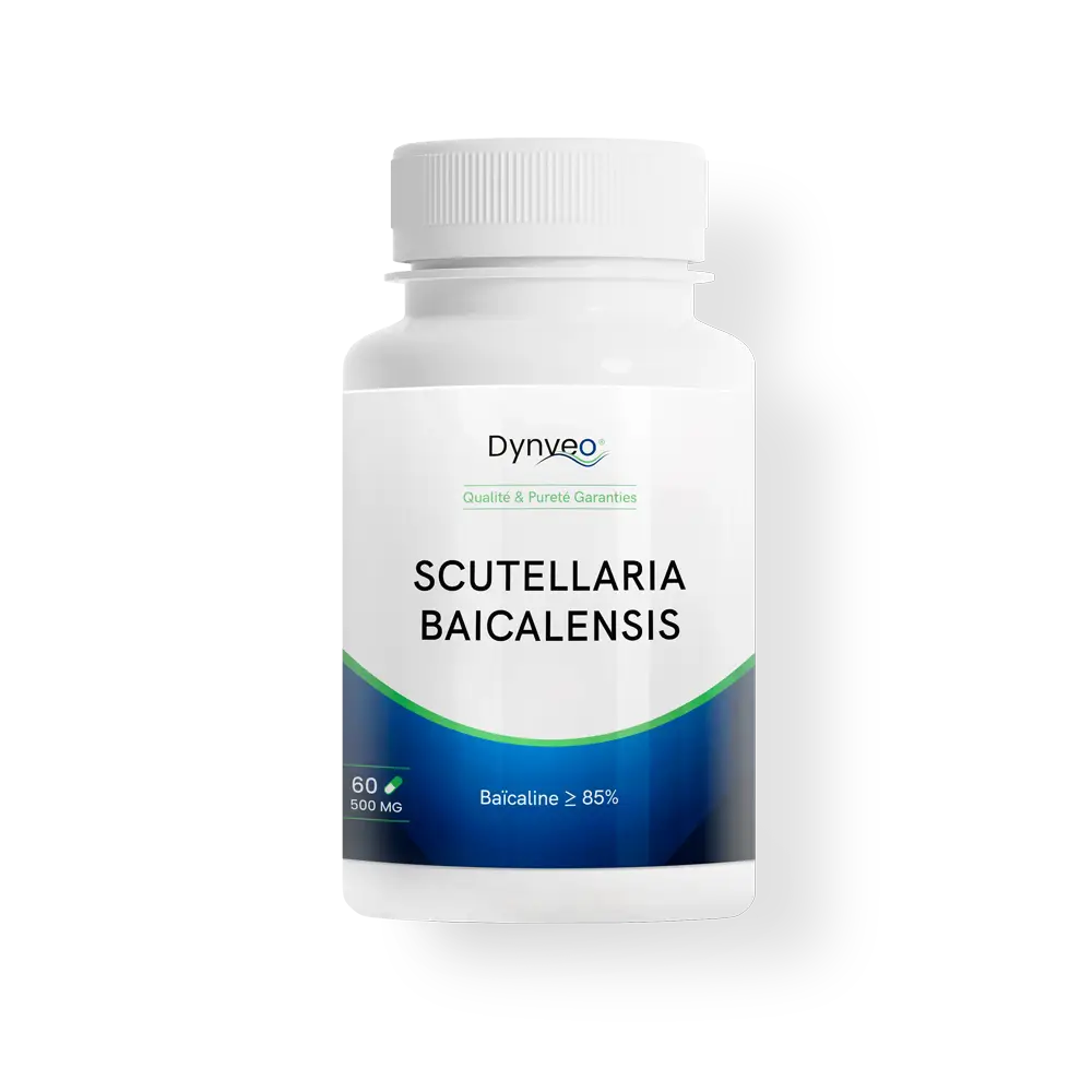 Scutellaria baicalensis : Baicaline