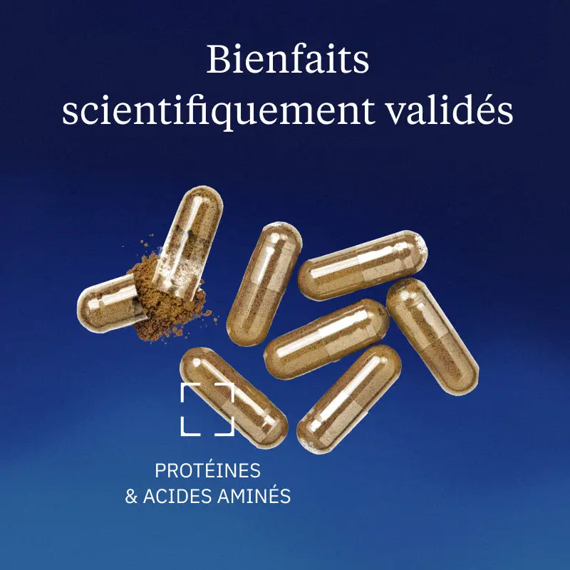 L-Théanine végétale - Image 2