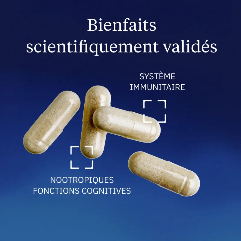 Vitamine B6 active P5P - Image 2